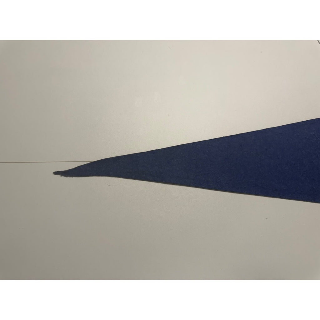 Vintage Parrsboro, N.S. Canada pennant