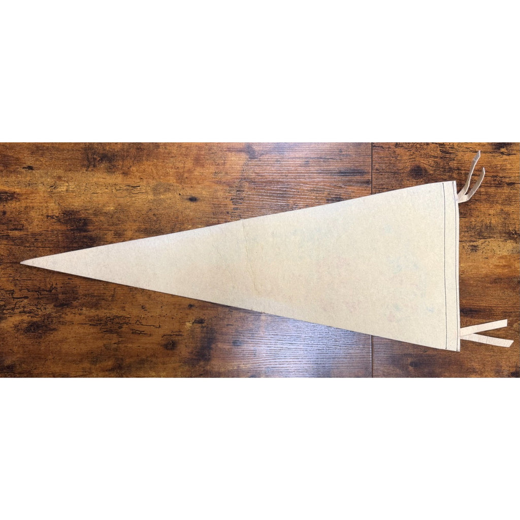 Vintage AHL Hockey Boston Braves pennant
