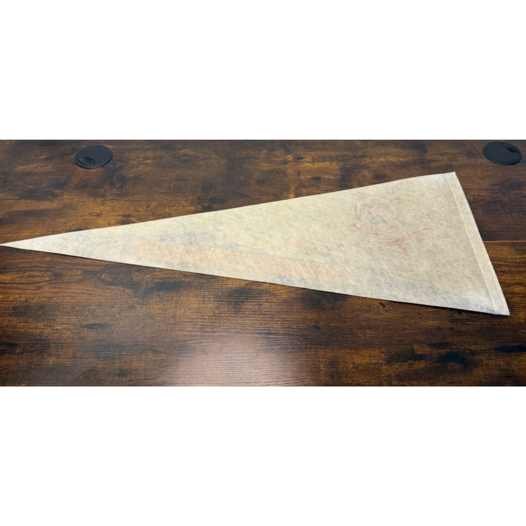 Vintage U.S. Air Force Thunderbirds Felt Pennant With Jet Graphics 30 inches