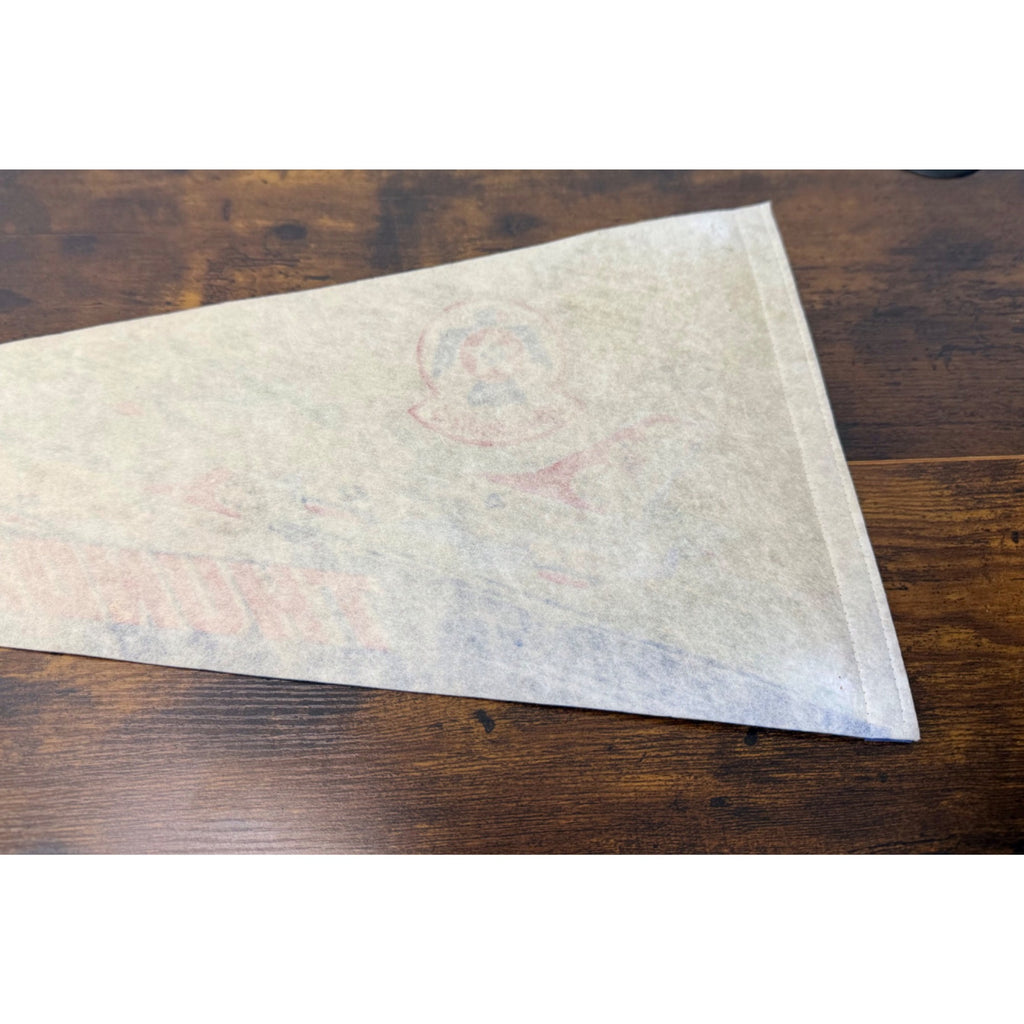Vintage U.S. Air Force Thunderbirds Felt Pennant With Jet Graphics 30 inches