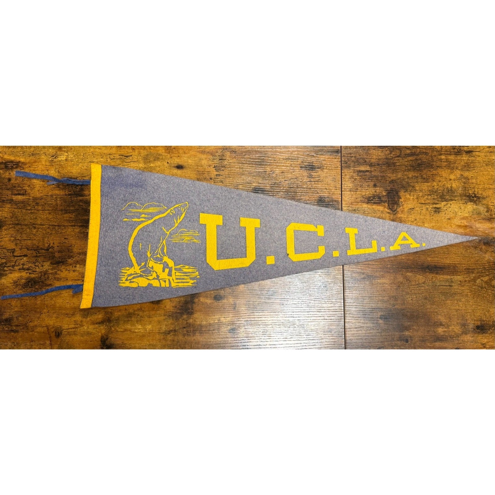 Vintage UCLA pennant
