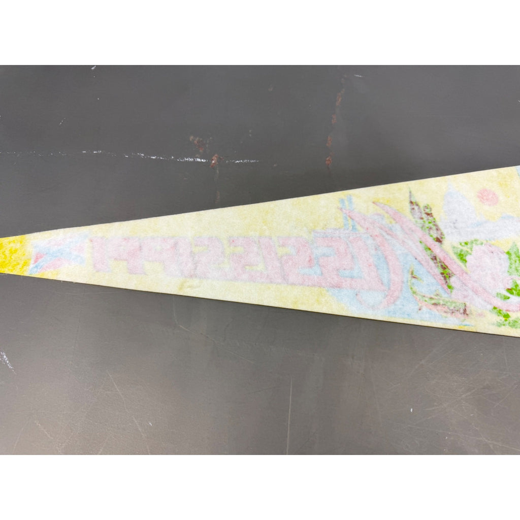 Vintage Mississippi State pennant damaged tip