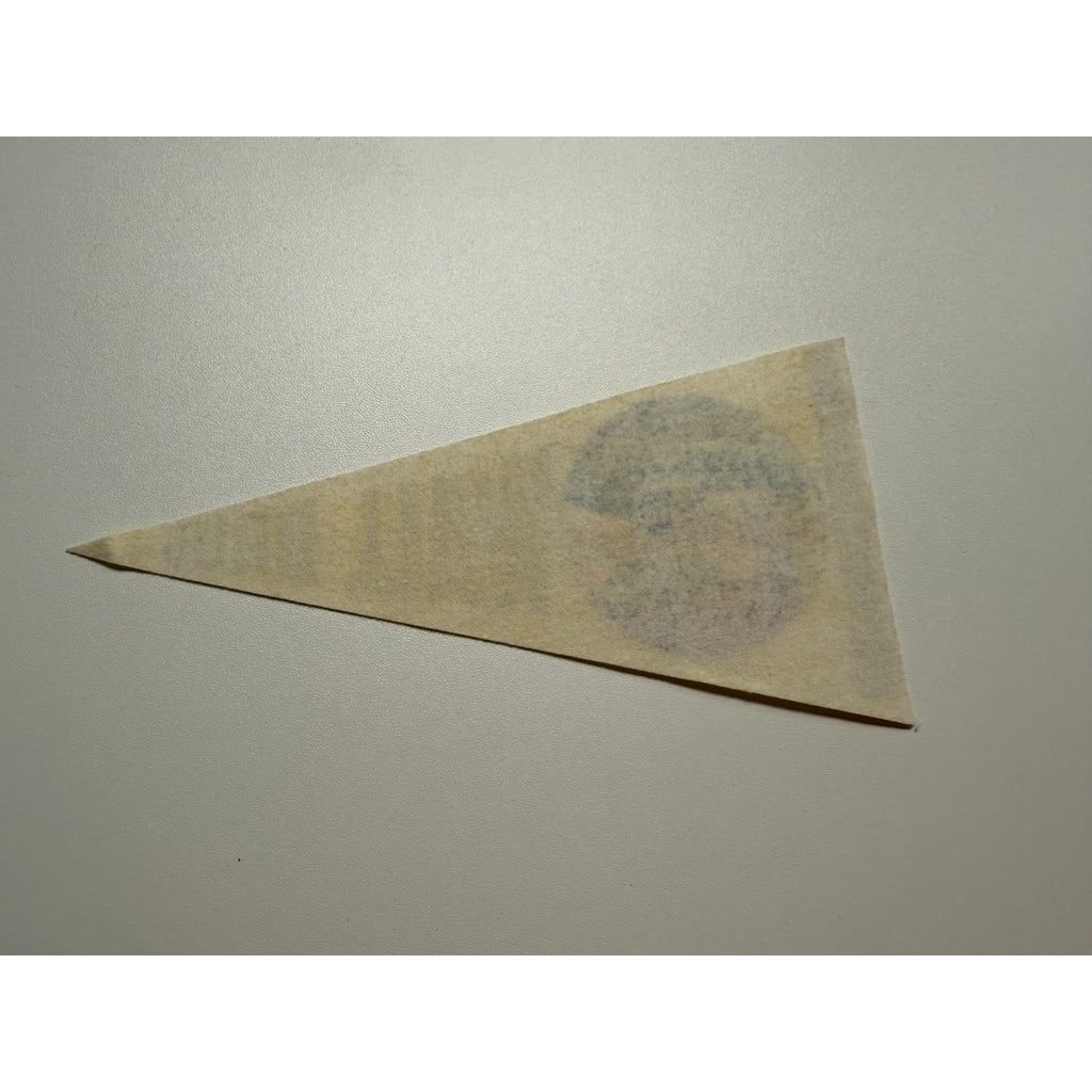 Vintage Wall Drug, South Dakota pennant