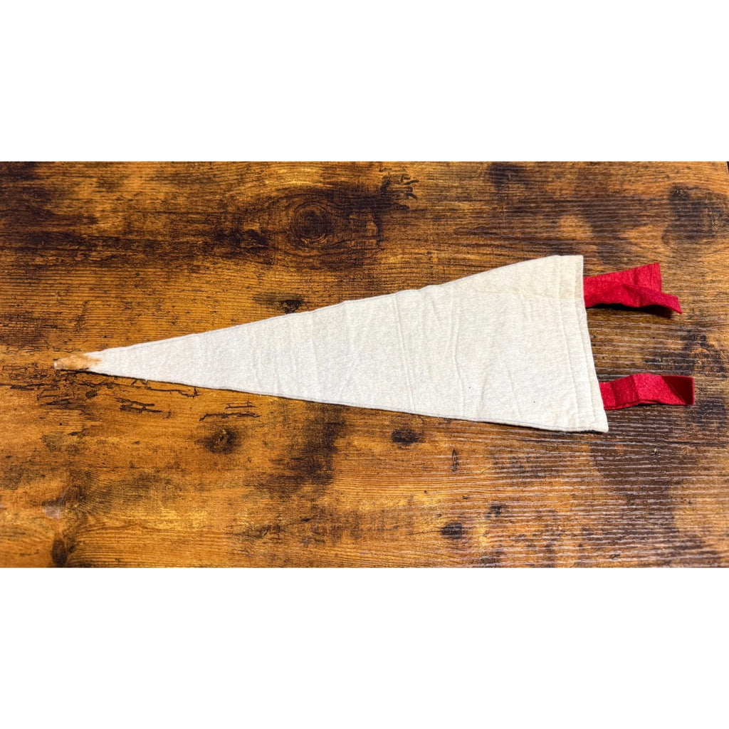 Vintage Indiana State pennant The Hoosier State