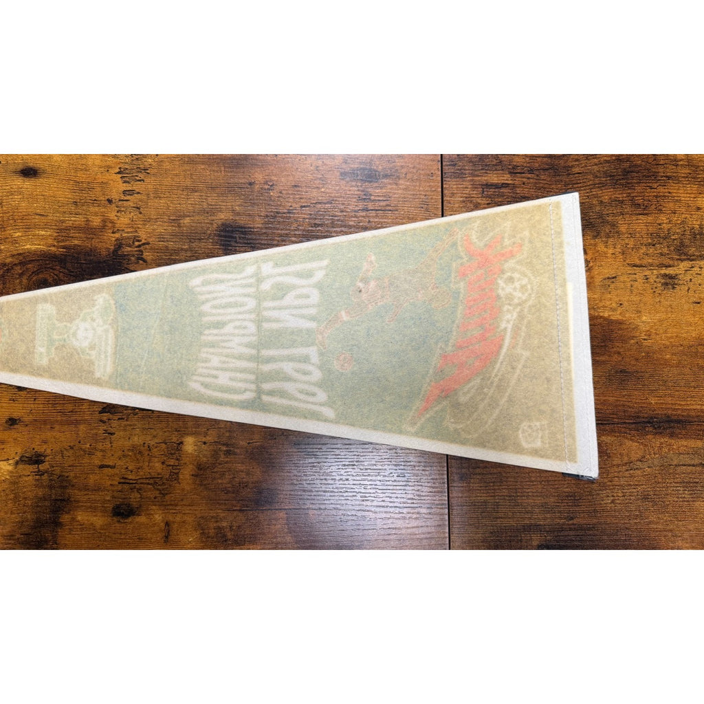 Vintage 1997 NPSL Champions Kansas City Attack pennant
