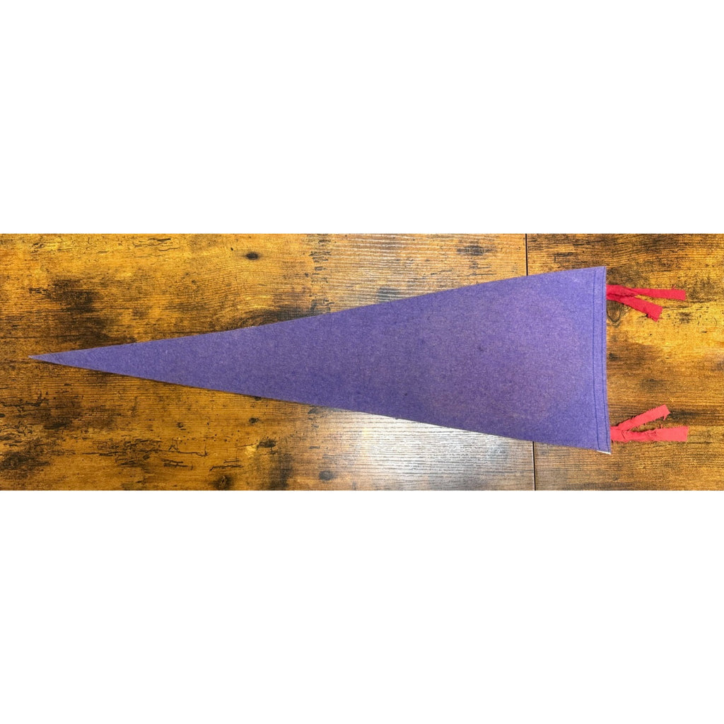 Vintage Miami Beach, Florida pennant