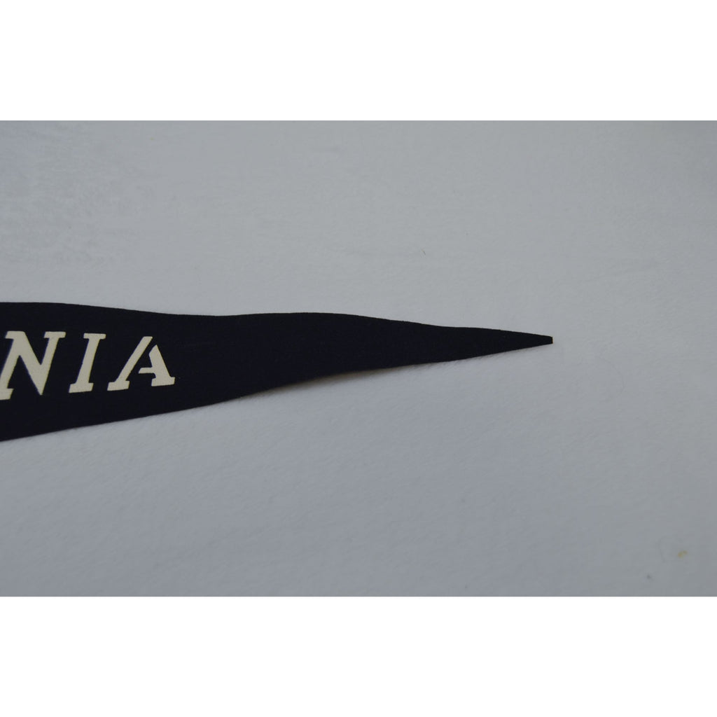 Vintage Sarnia, Canada pennant