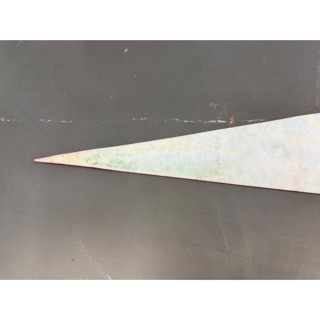 Vintage The 1982 World’s Fair Knoxville, TN pennant