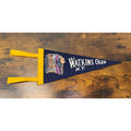 Vintage Watkins Glen N.Y. Felt Pennant With Native American Design