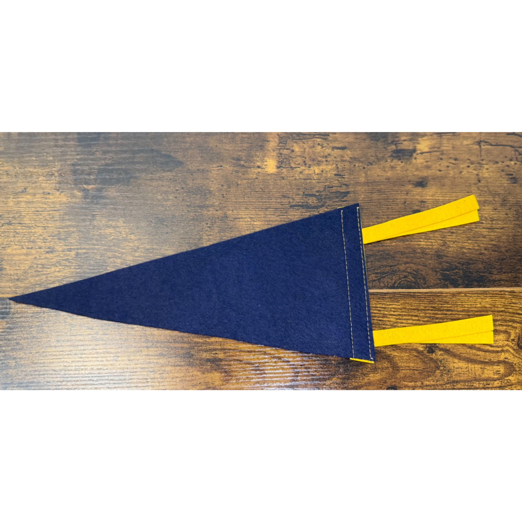 Vintage Watkins Glen N.Y. Felt Pennant With Native American Design