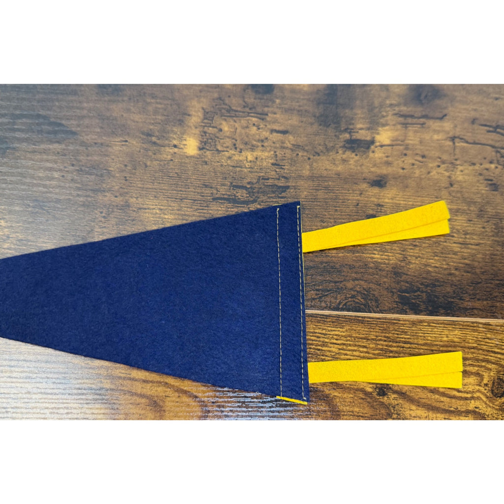 Vintage Watkins Glen N.Y. Felt Pennant With Native American Design