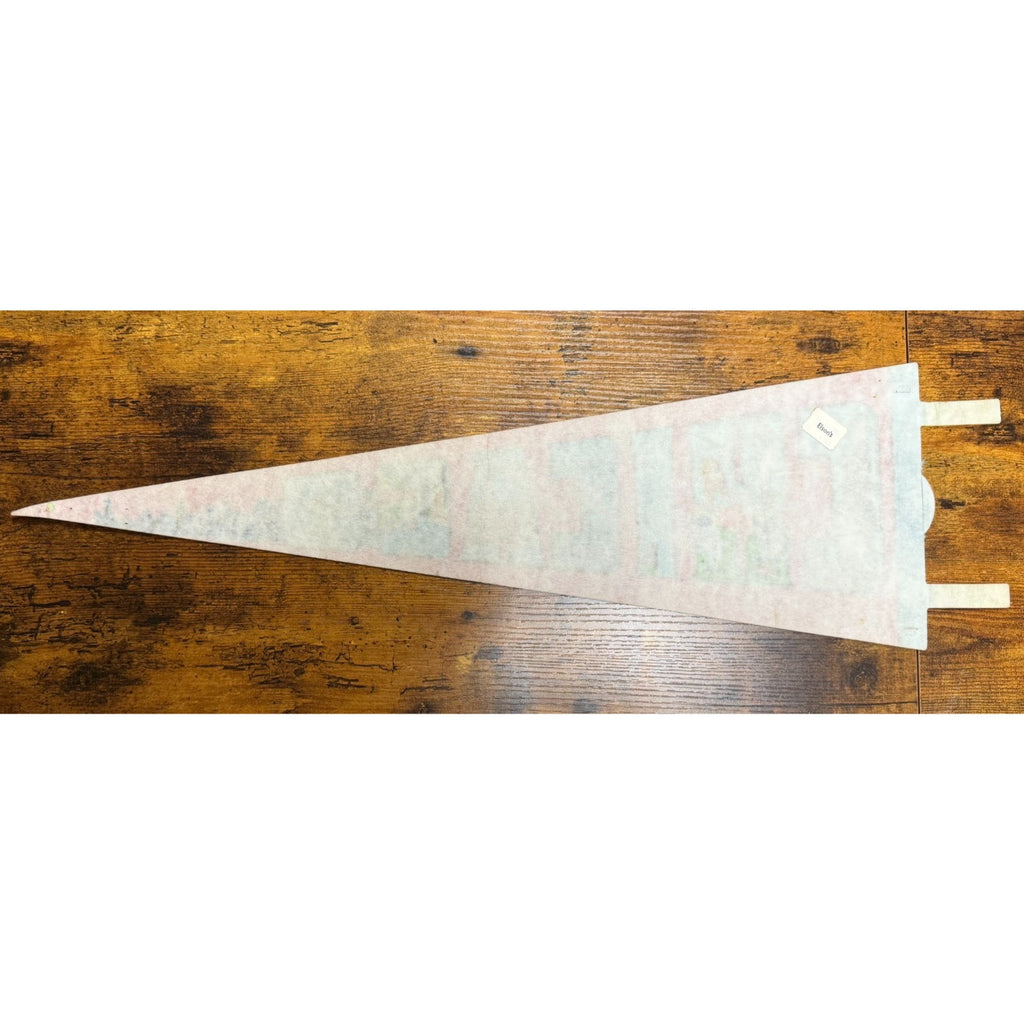 Vintage Chicago pennant