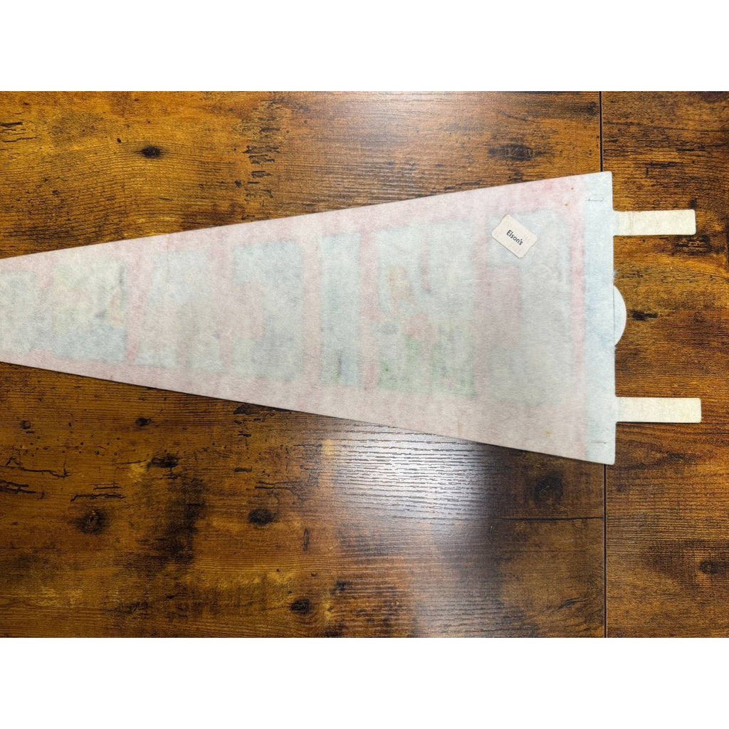 Vintage Chicago pennant