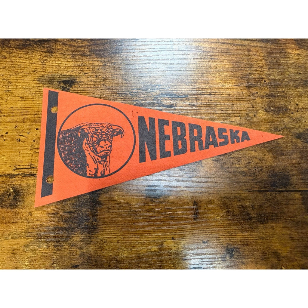 Vintage Nebraska Beef Cattle Souvenir Mini Felt Pennant 8"