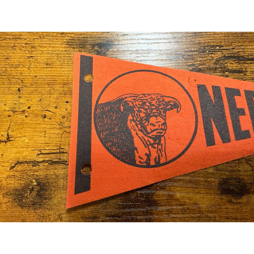 Vintage Nebraska Beef Cattle Souvenir Mini Felt Pennant 8"