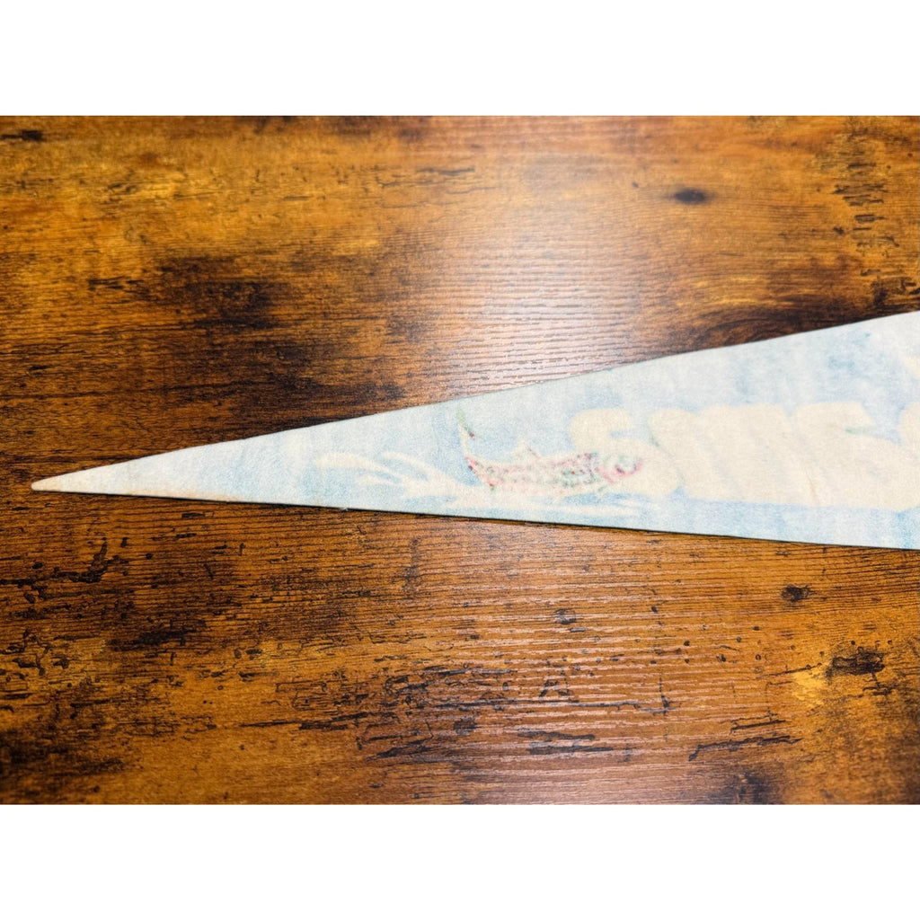 Vintage Alabama state pennant