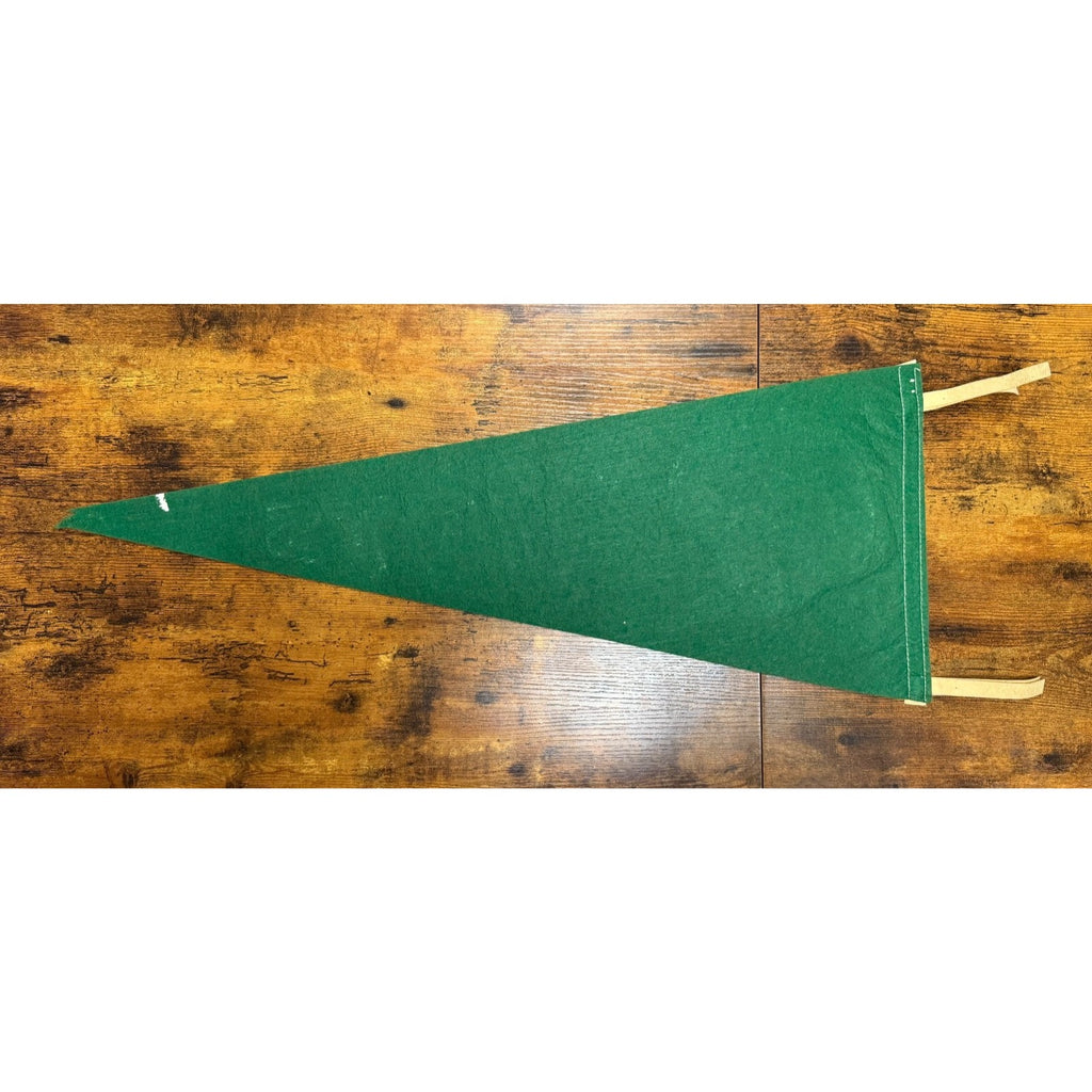 Vintage 1967 NFL New York Jets pennant