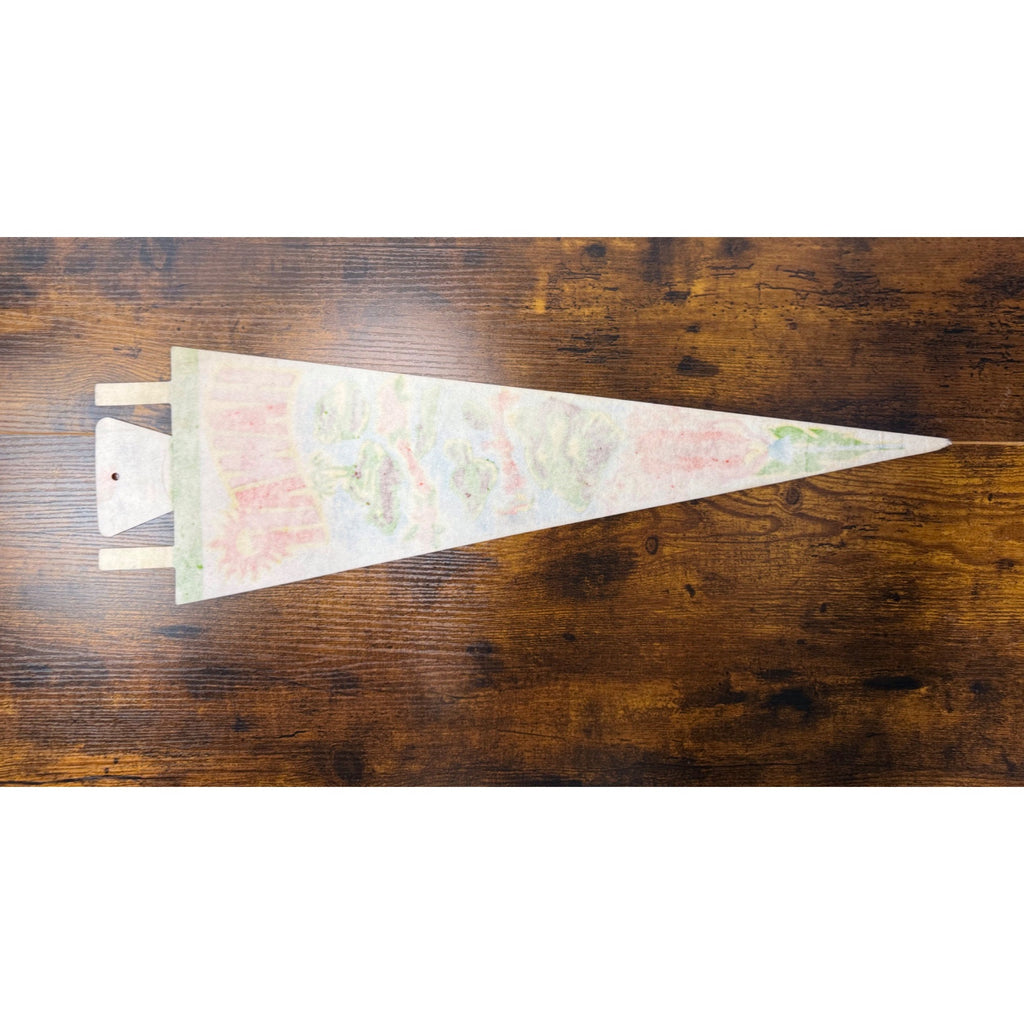 Vintage Hawaii Souvenir Felt Pennant With Island Map Design & Tropical Graphics