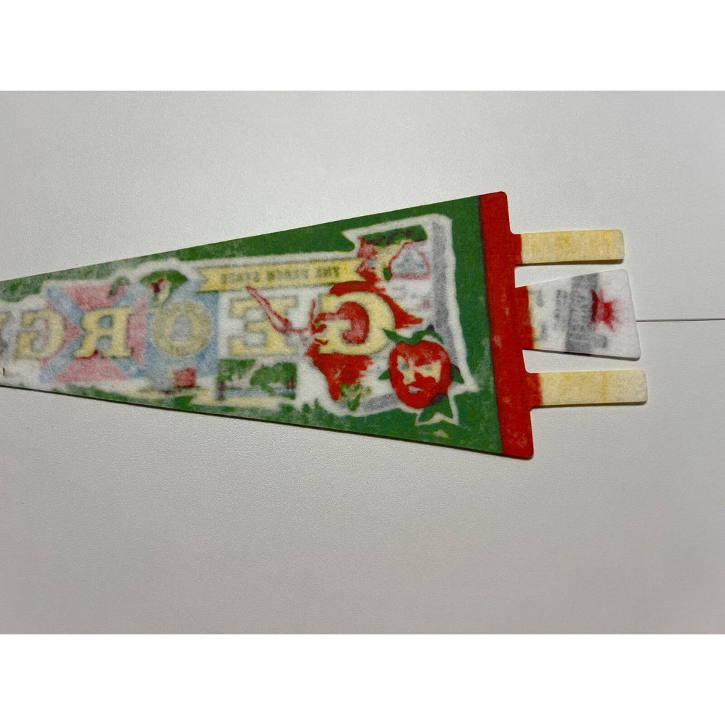 Vintage Georgia pennant