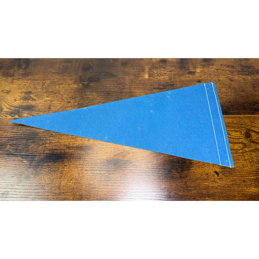 Vintage Stonewall Jackson Pennant Flag With Cartoon roadrunner Design