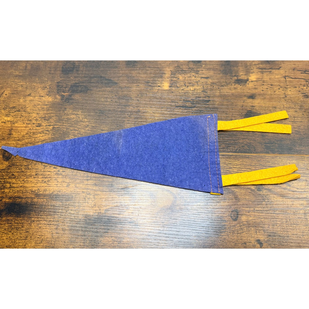Vintage Watkins Glen N.Y. Felt Pennant With Native American Design 12 inches
