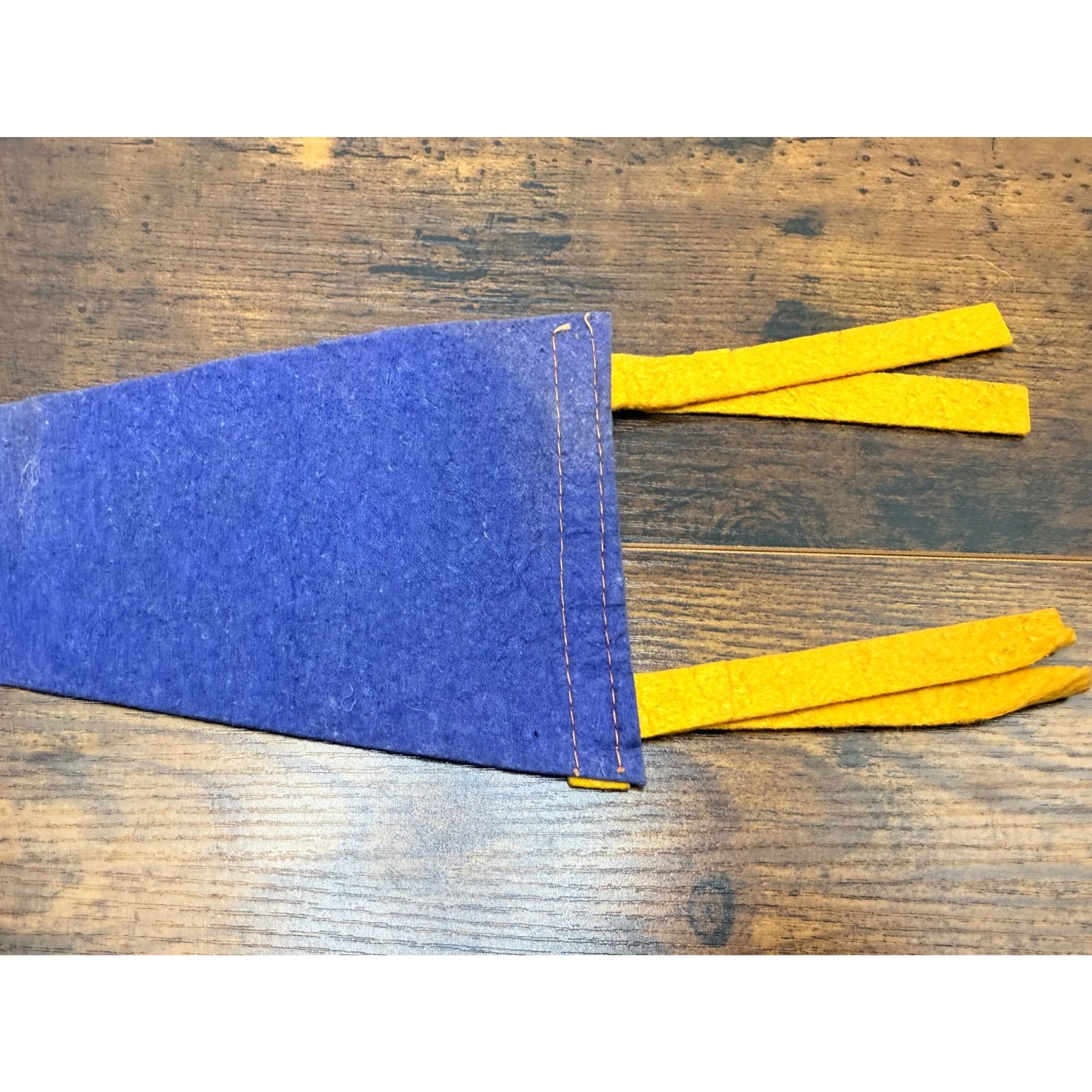 Vintage Watkins Glen N.Y. Felt Pennant With Native American Design 12 inches