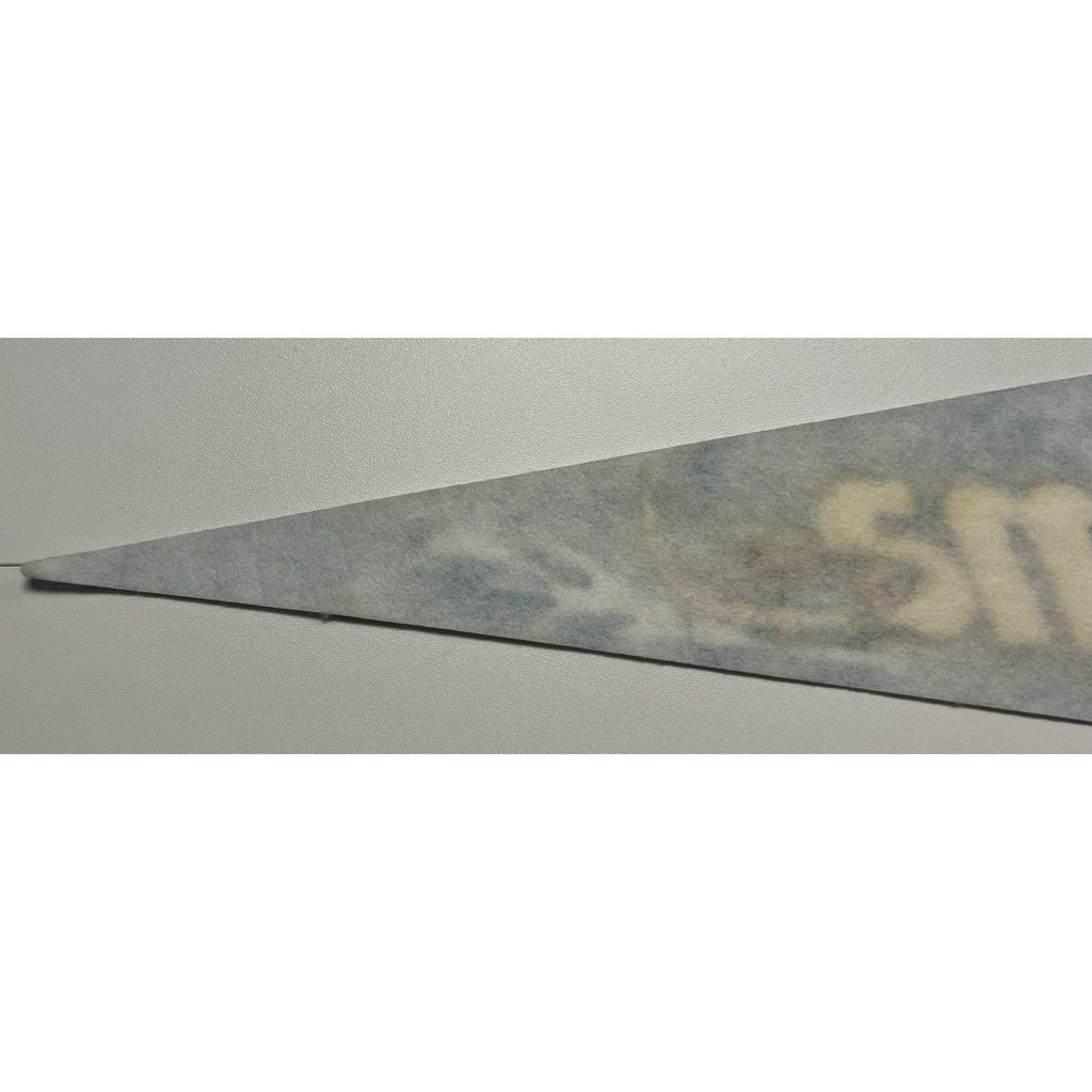 Vintage Alabama pennant