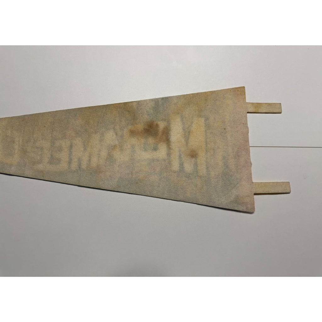 Vintage Meramec Caverns Stanton, Missouri 25" Felt Pennant