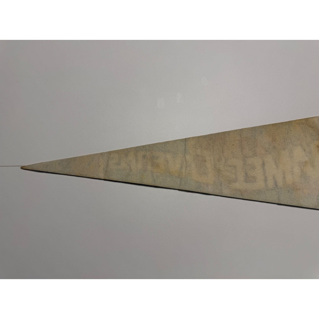 Vintage Meramec Caverns Stanton, Missouri 25" Felt Pennant