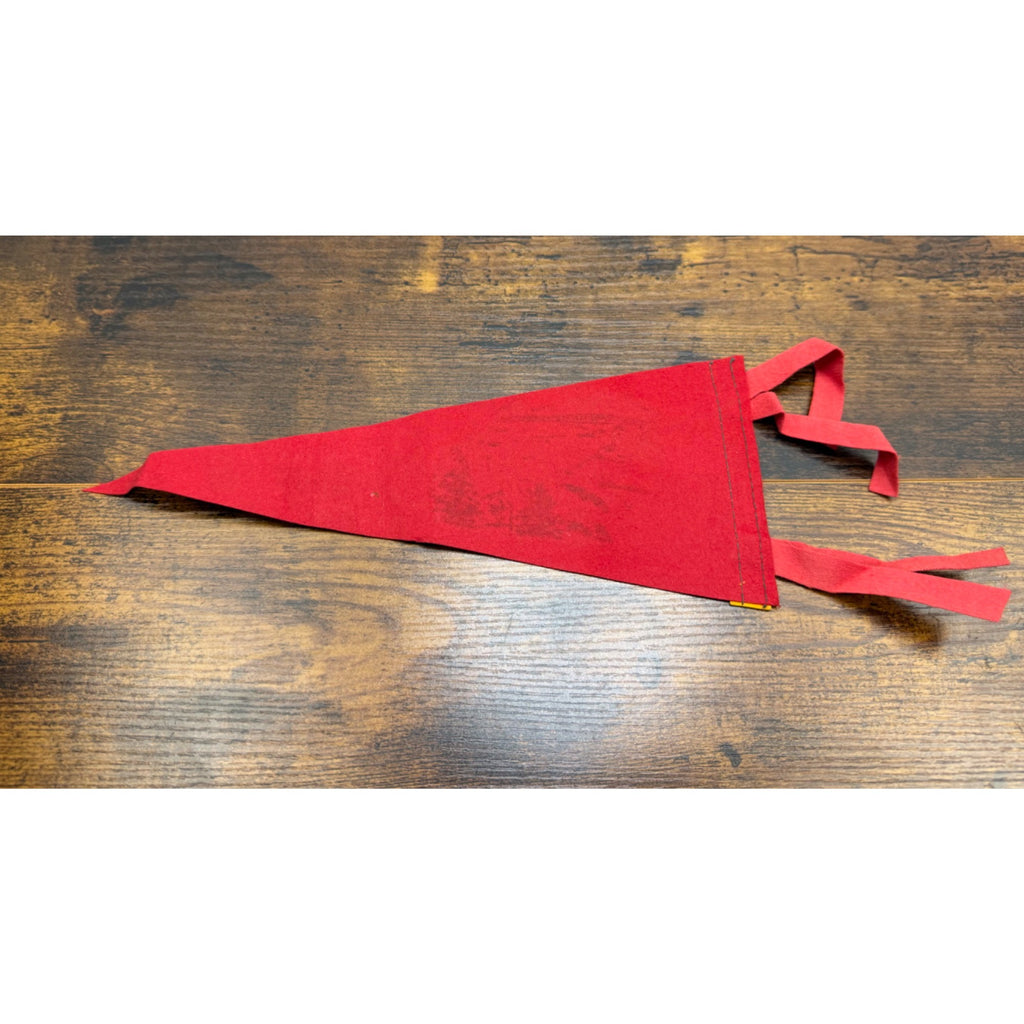 Vintage Seattle Washington Souvenir Felt Pennant - Scenic Artwork - 12 inches