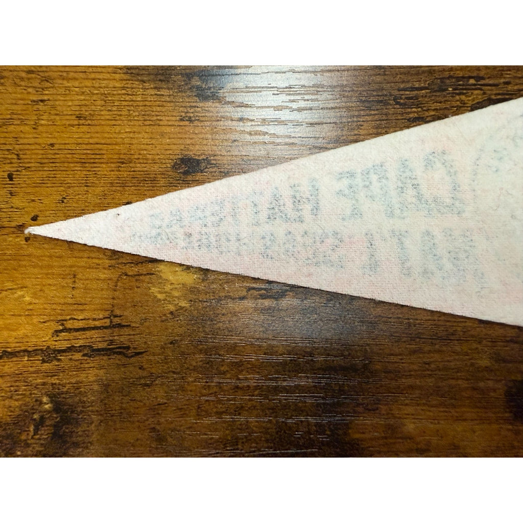 Vintage Cape Hatteras National Seashore Park, North Carolina mini pennant