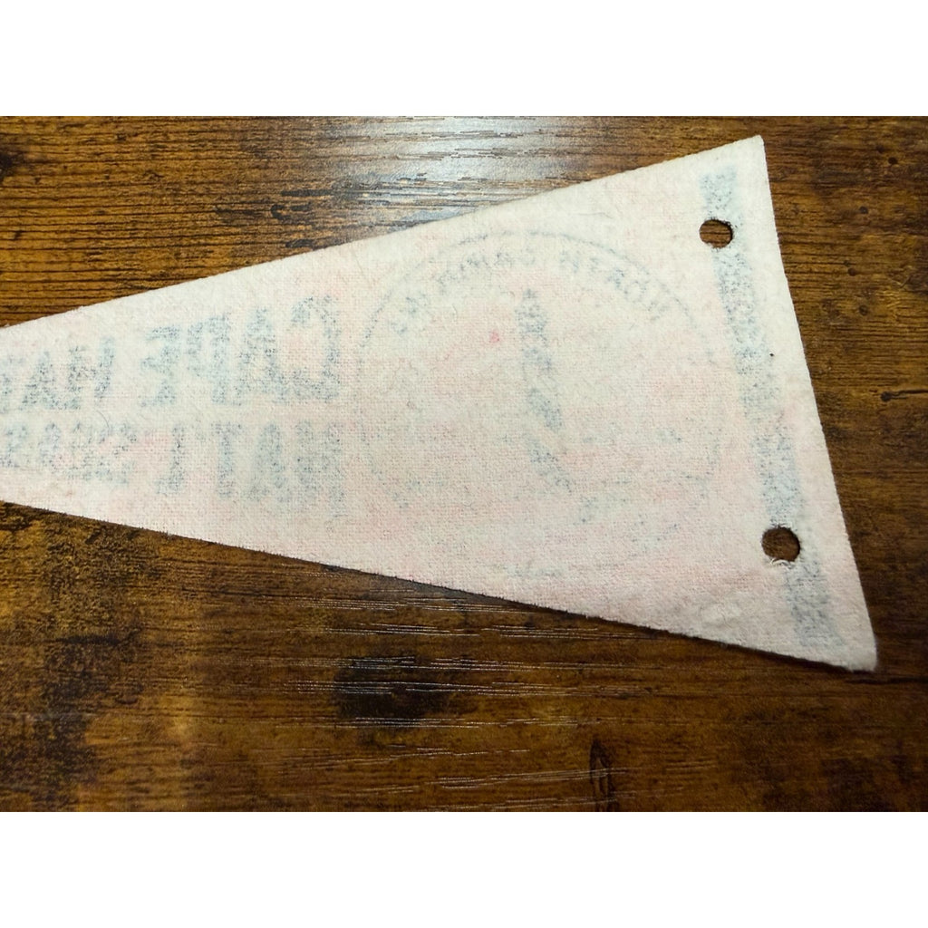 Vintage Cape Hatteras National Seashore Park, North Carolina mini pennant