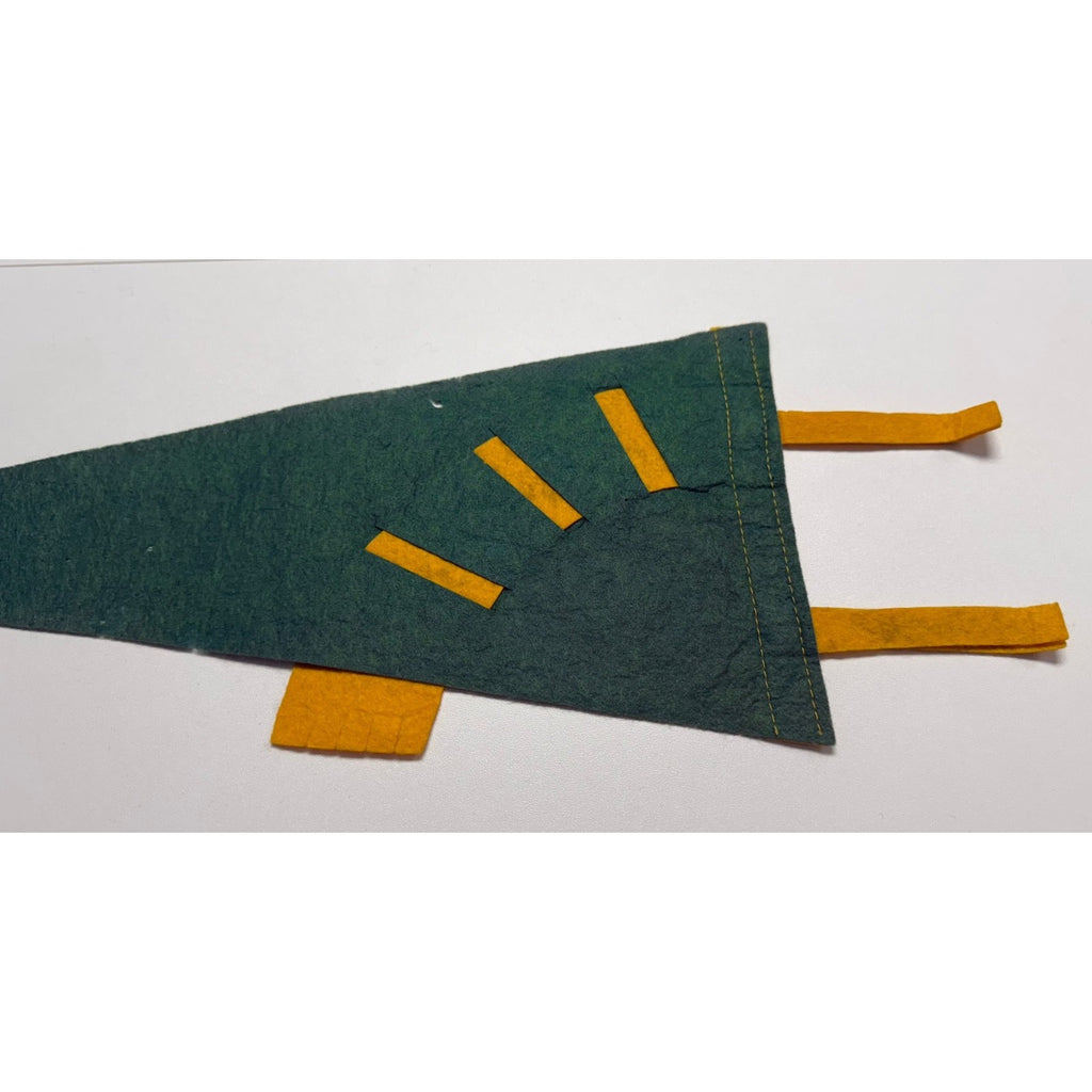Vintage 1961 Luray Caverns, Va. pennant