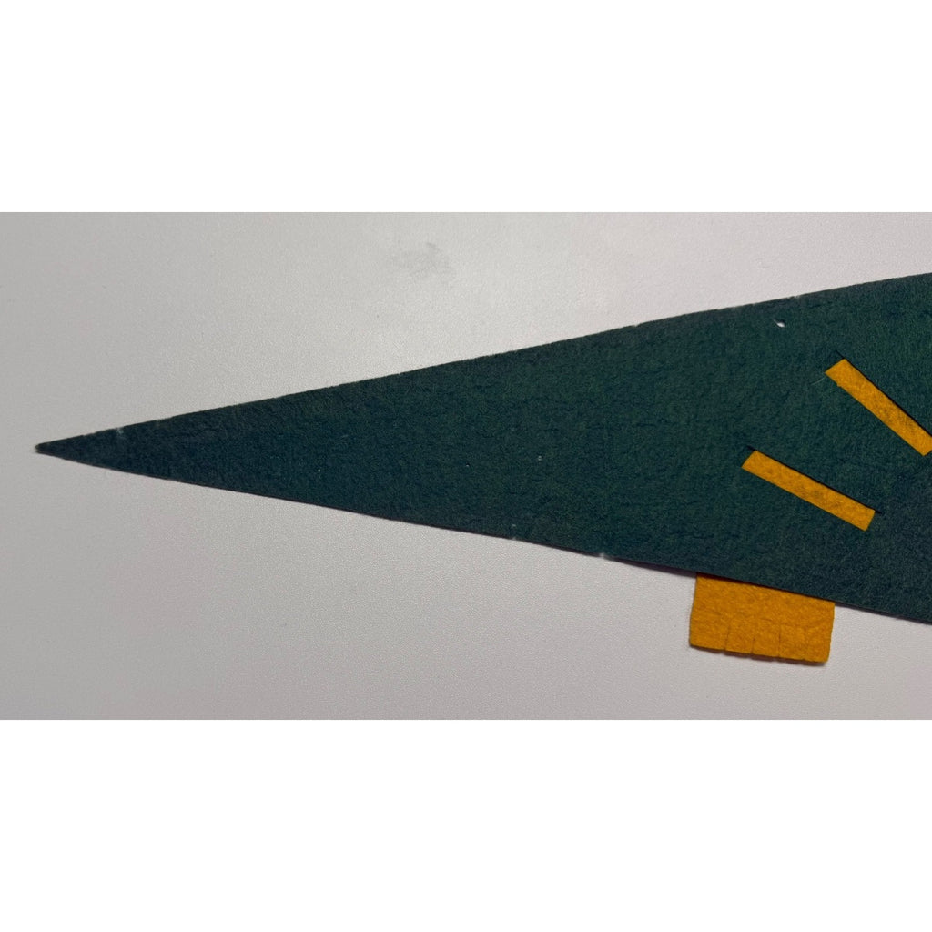 Vintage 1961 Luray Caverns, Va. pennant