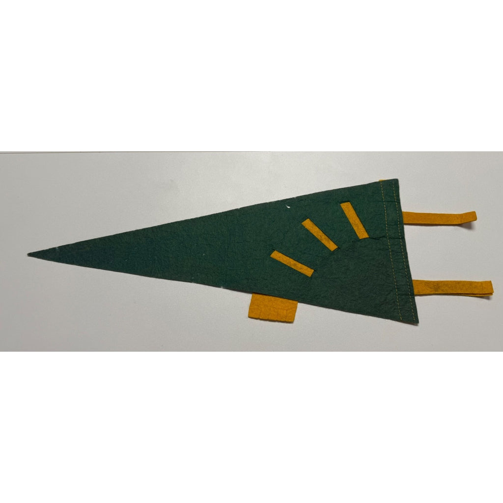 Vintage 1961 Luray Caverns, Va. pennant