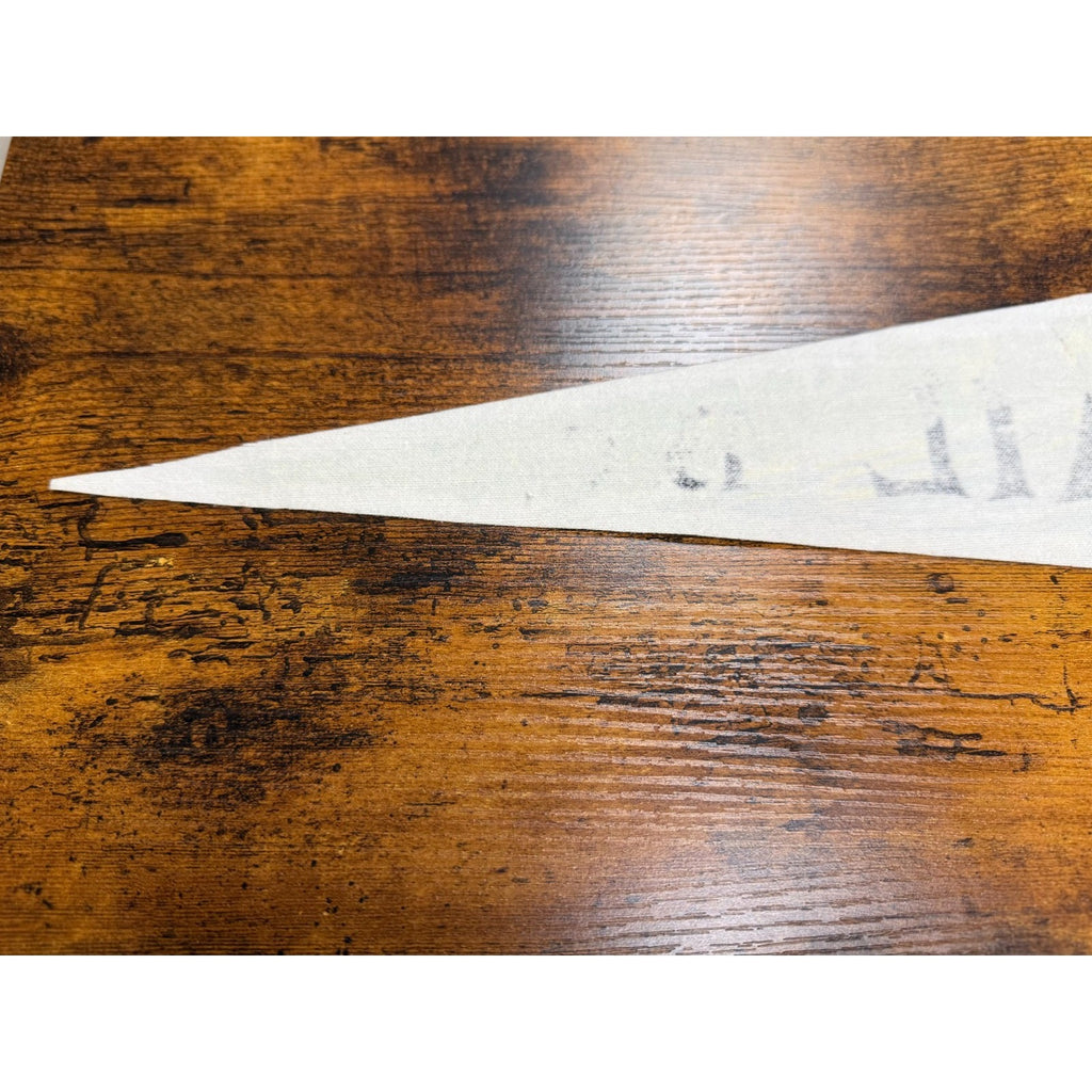 Vintage Trail B.C., Canada pennant