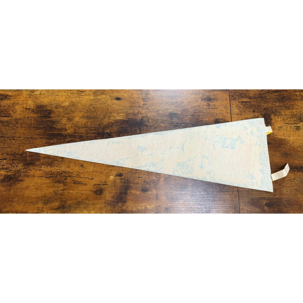 Vintage Daytona Beach, Florida pennant