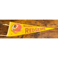 Vintage NFL Washington Redskins pennant
