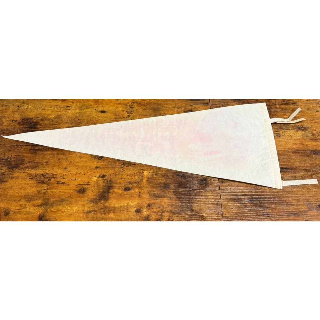 Vintage NFL Washington Redskins pennant