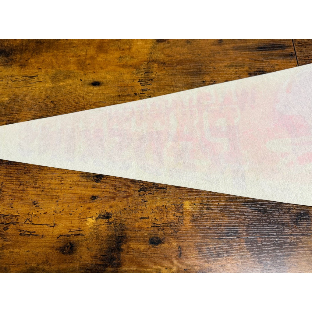 Vintage NFL Washington Redskins pennant