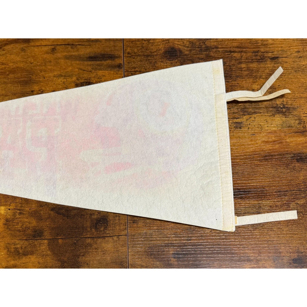 Vintage NFL Washington Redskins pennant