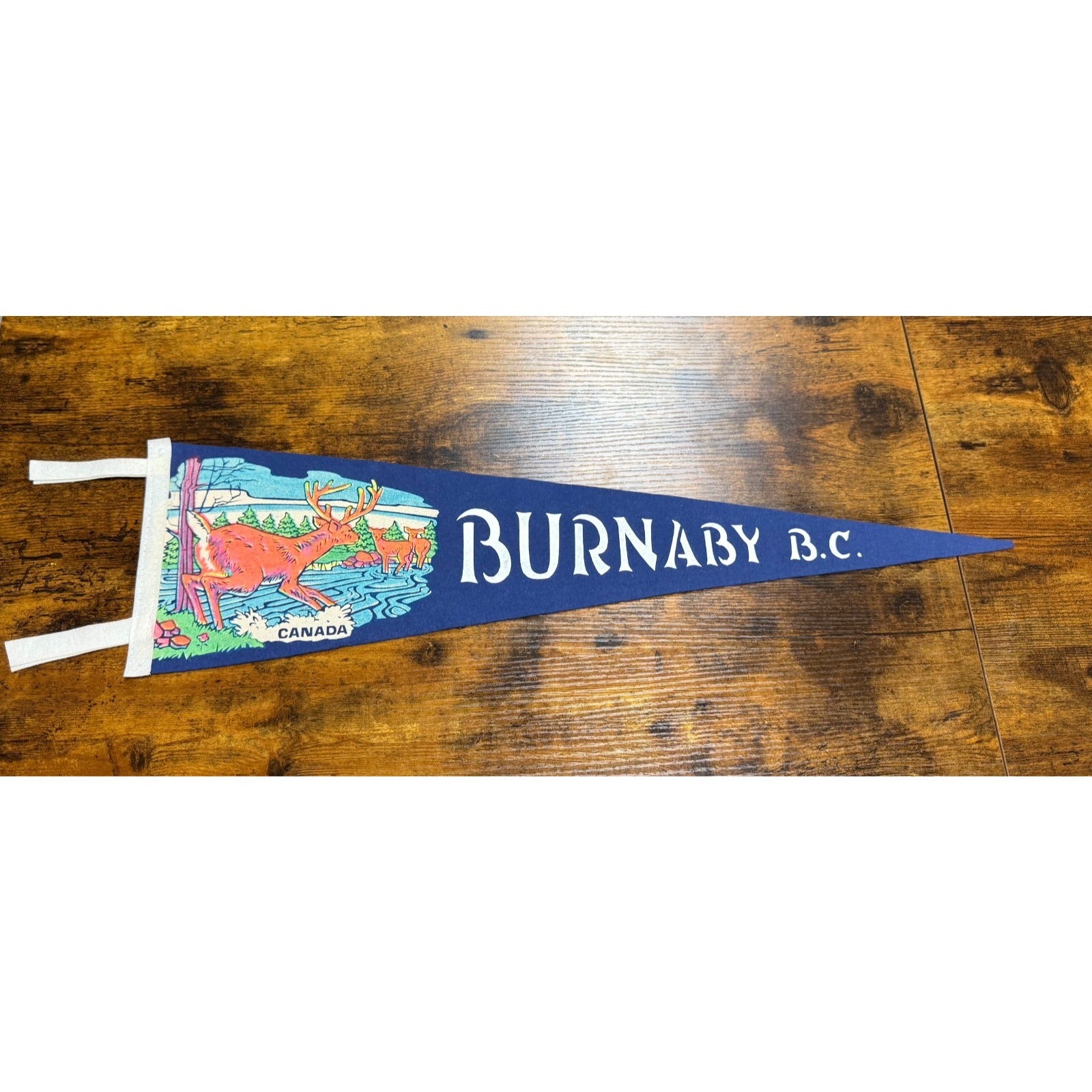 Vintage Burnaby B.C., Canada pennant