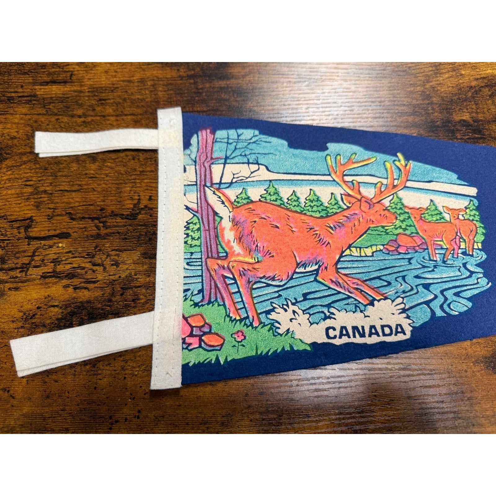 Vintage Burnaby B.C., Canada pennant