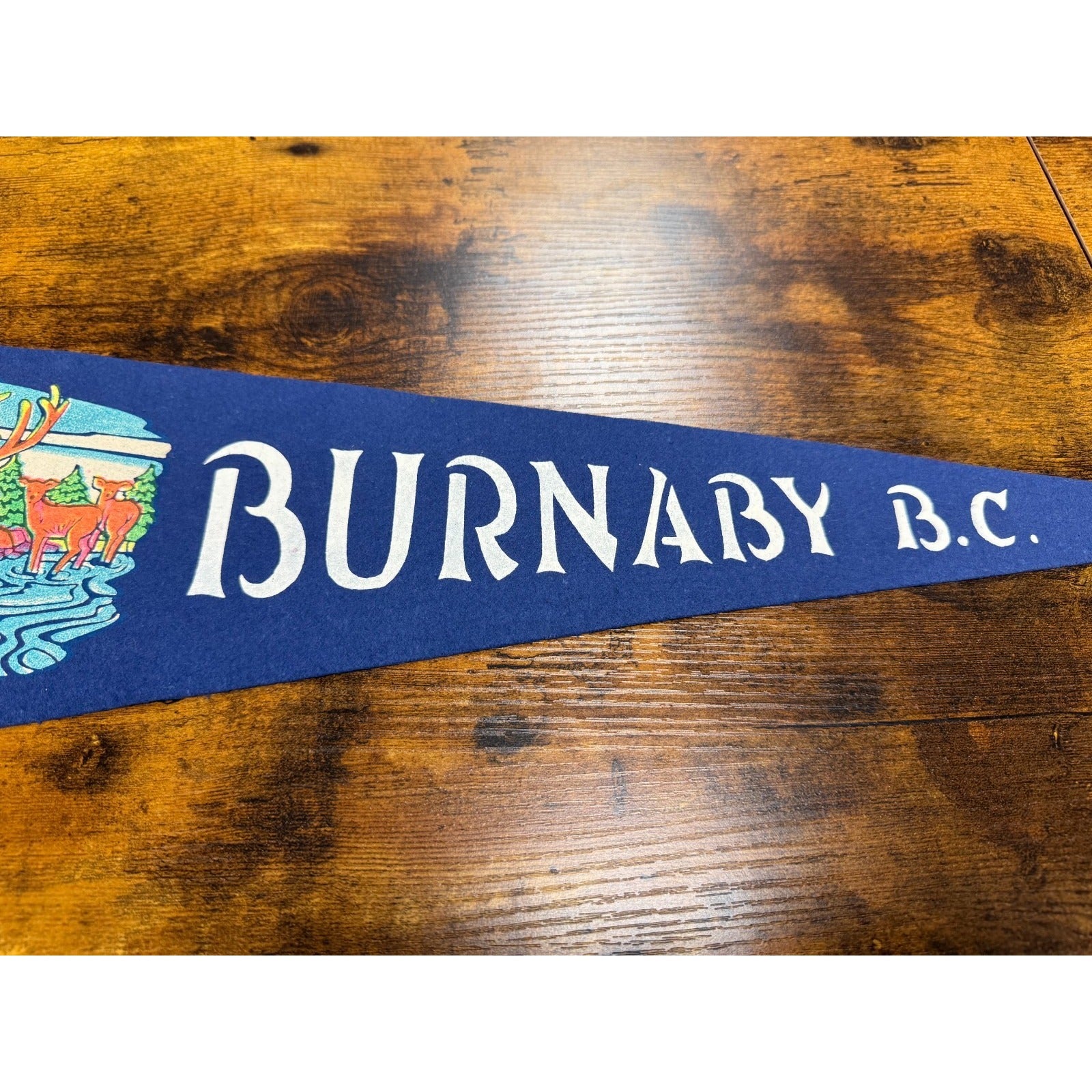 Vintage Burnaby B.C., Canada pennant