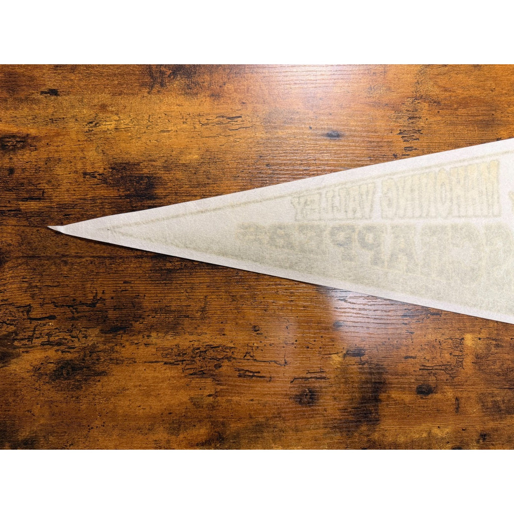 Vintage Mahoning Valley Scrappers baseball Inaugural Season pennant