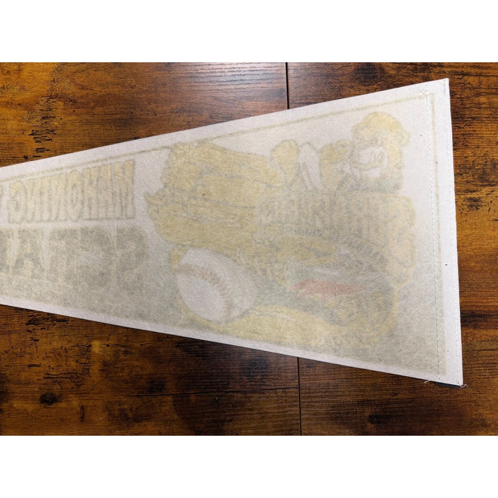 Vintage Mahoning Valley Scrappers baseball Inaugural Season pennant