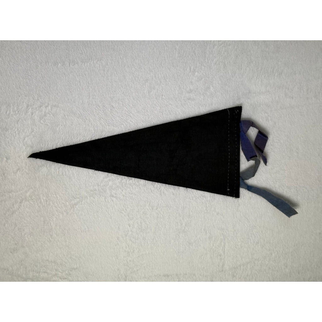 Vintage St. Louis Zoo pennant