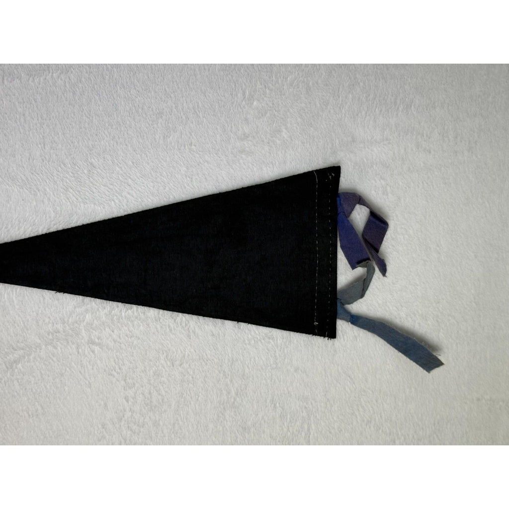 Vintage St. Louis Zoo pennant