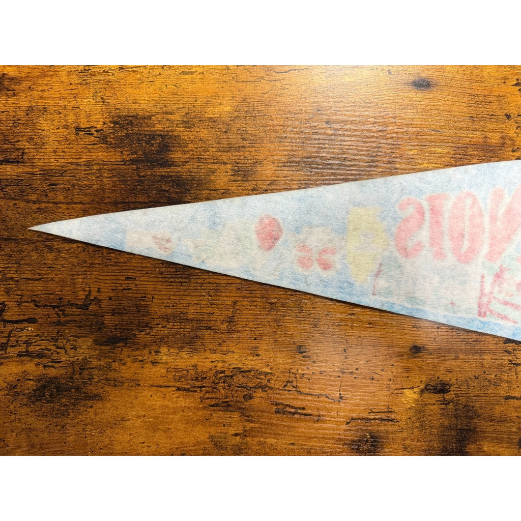 Vintage Illinois state pennant
