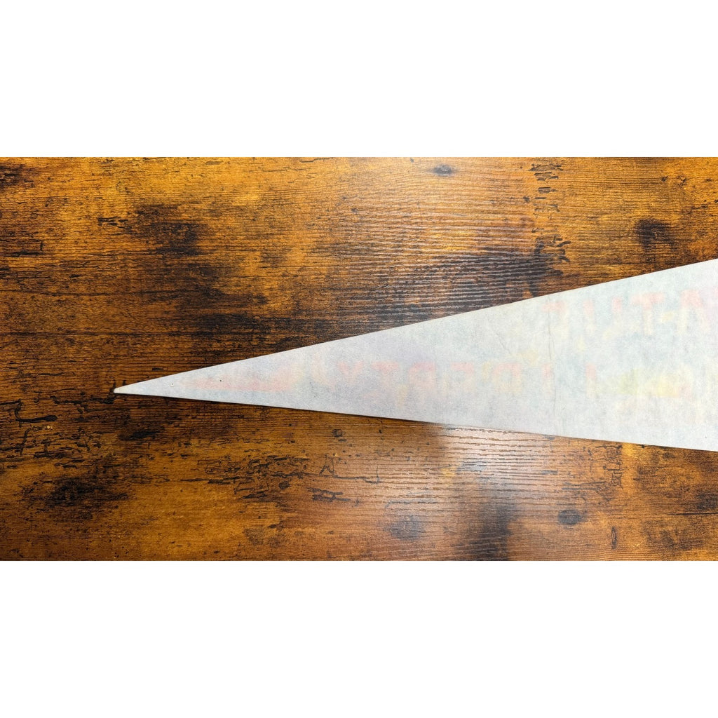 Vintage Statue of Liberty pennant